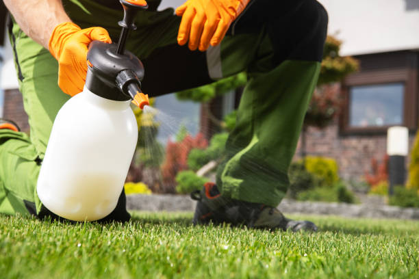 Best Pest Removal Services  in Orange, TX