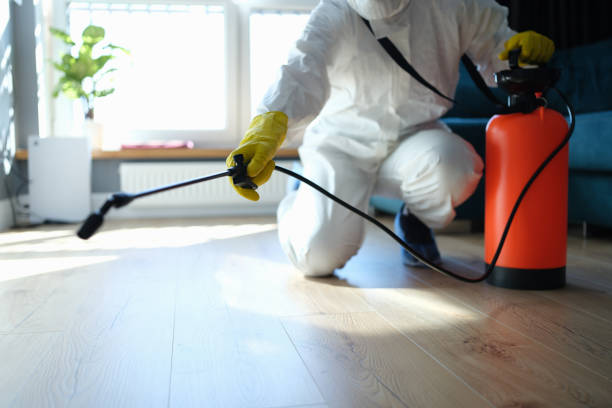 Professional Pest Control in Orange, TX